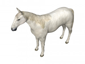 rigged horse 3D Модель