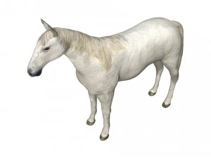 rigged horse 3D Model