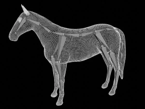 rigged horse 3D Model