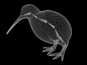 rigged kiwi bird Modello 3D