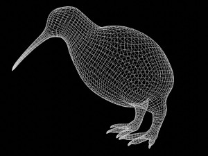 rigged kiwi bird Modello 3D