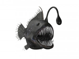 anglerfish angler fish sea monster Modello 3D
