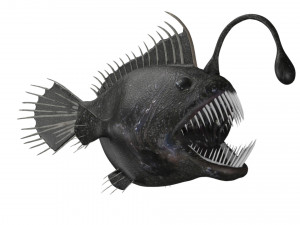 anglerfish angler fish sea monster Modello 3D