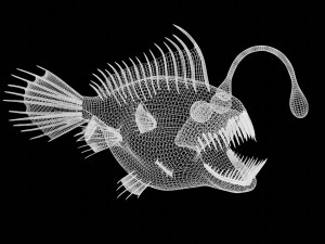 anglerfish angler fish sea monster Modello 3D