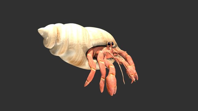 hermit crab hermitcrab Modèle 3D .c4d .max .obj .3ds .fbx .stl .blend 