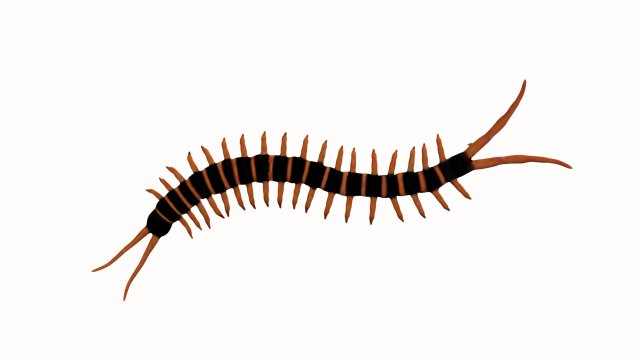 centipede worm worms earthworm Model 3D .c4d .max .obj .3ds .fbx .stl .blend 