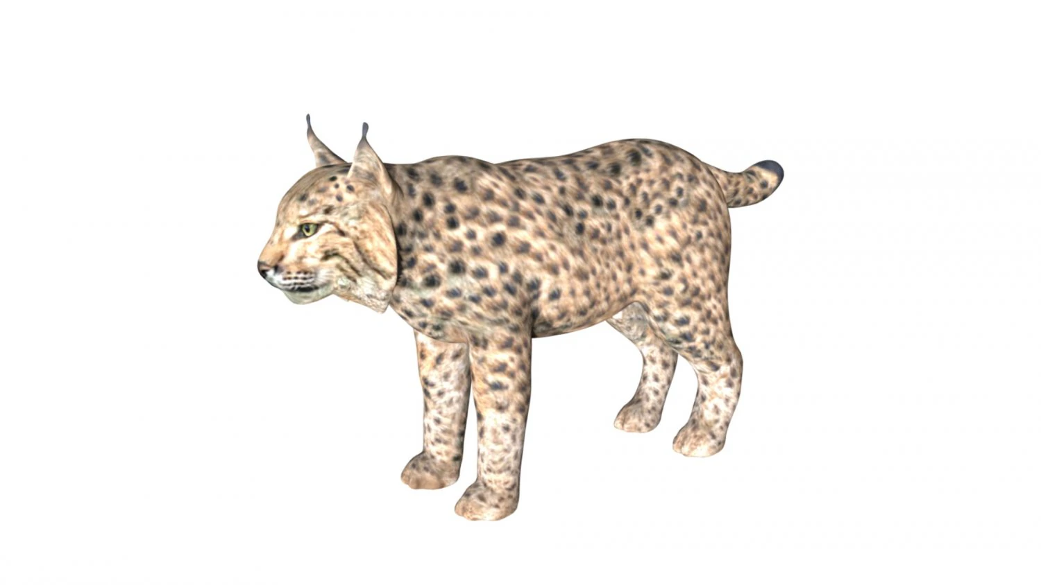lion lynx 3D Model .c4d .max .obj .3ds .fbx .stl .blend