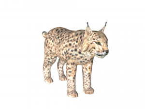 lion lynx 3Dモデル