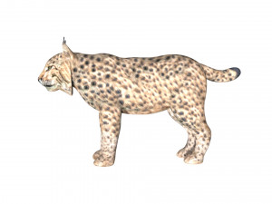 lion lynx 3Dモデル