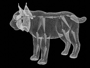 lion lynx 3Dモデル