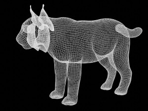 lion lynx 3Dモデル
