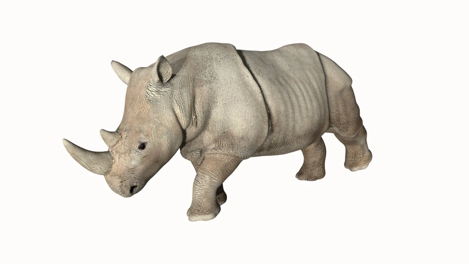 rhinoceros rhino 3D Model .c4d .max .obj .3ds .fbx .stl .blend