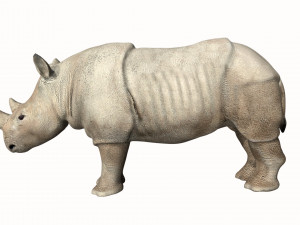 rhinoceros rhino 3D Model