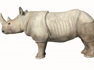 rhinoceros rhino 3D Model
