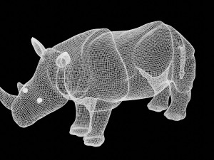 rhinoceros rhino 3D Model