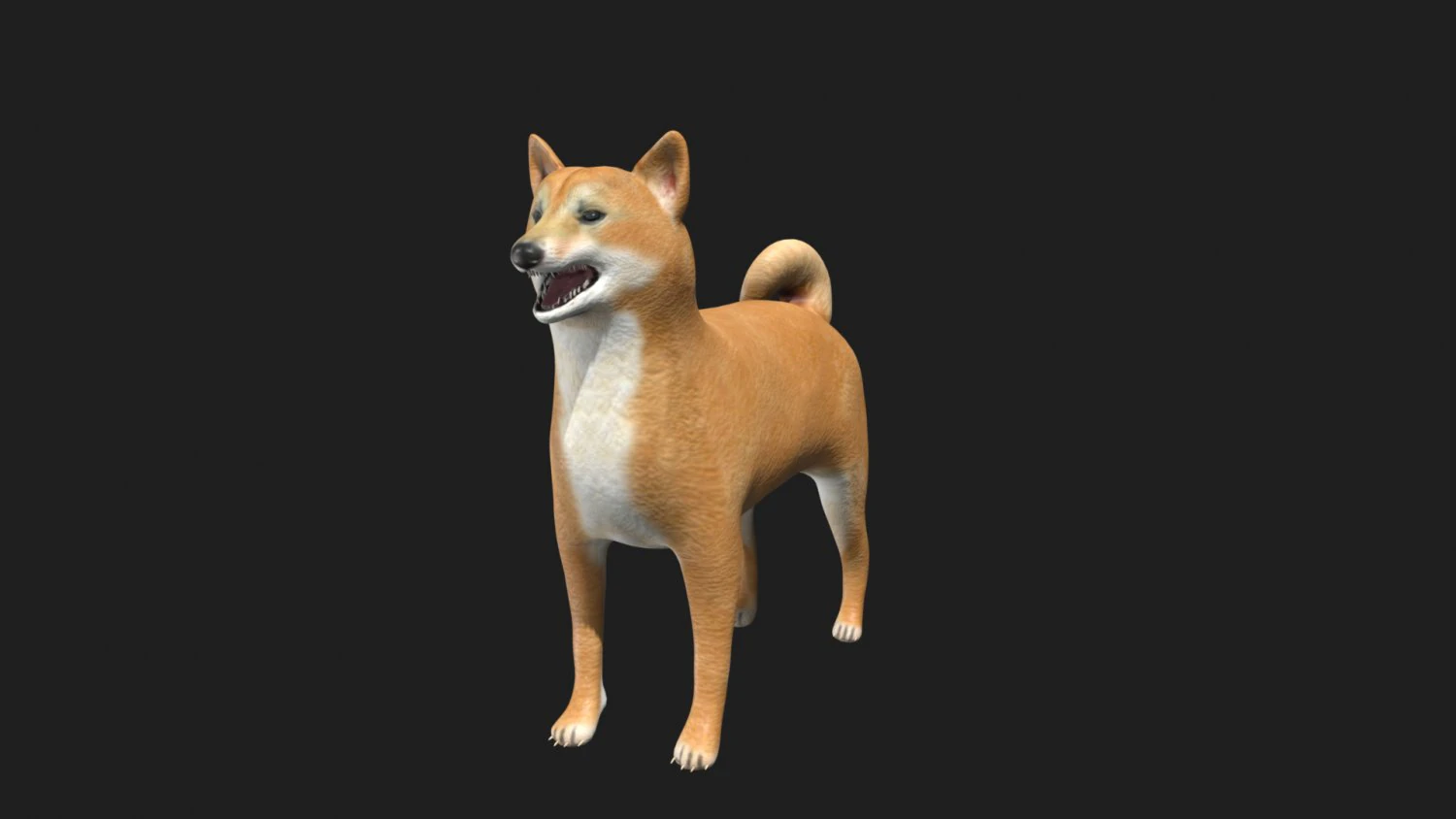 shiba inu dog 3D Model .c4d .max .obj .3ds .fbx .stl .blend