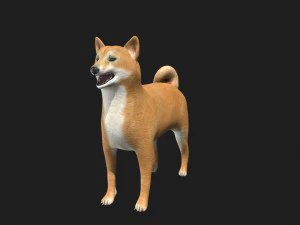 pies shiba inu Model 3D