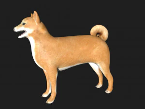 shiba inu dog 3D Model