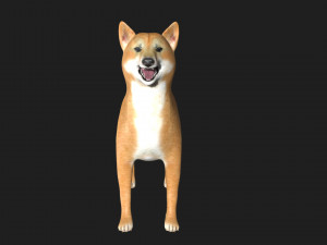 shiba inu dog 3D 模型