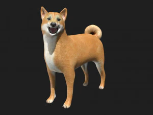 shiba inu dog 3D Model