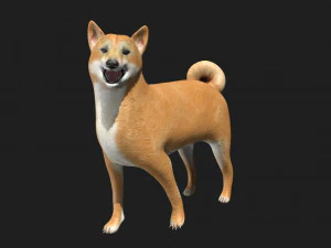 shiba inu dog 3D Model