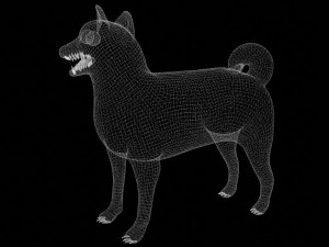shiba inu dog 3D Model