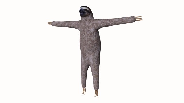 sloth 3D 模型 .c4d .max .obj .3ds .fbx .stl .blend 