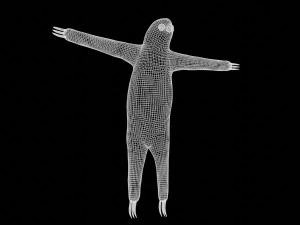 tembel hayvan 3D Model