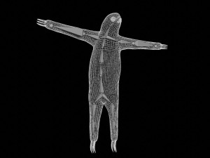 sloth 3D 模型