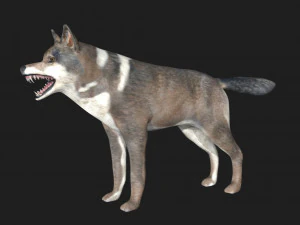 늑대 3D 모델