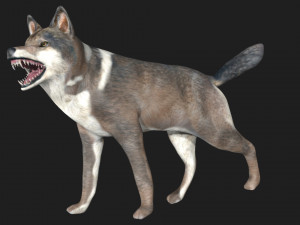 wolf 3D Model
