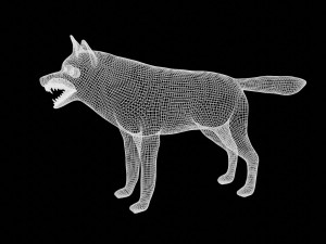 wolf 3D Model