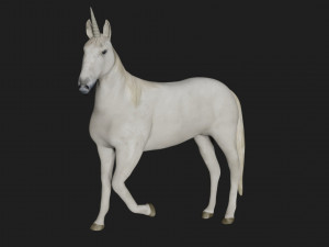 unicorn horse white 3D Model