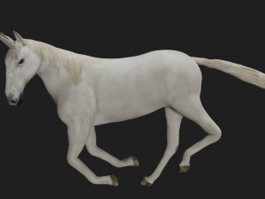 unicorn horse white Modèle 3D