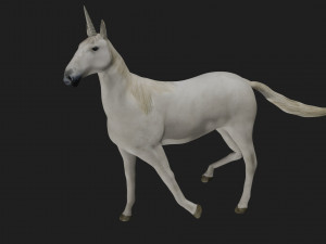 unicorn horse white Modèle 3D
