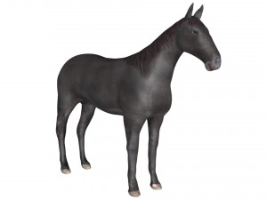 black horse rigged 3D-Modell