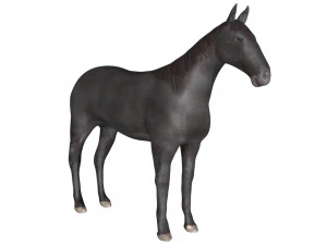 काला घोड़ा धांधली 3D मॉडल