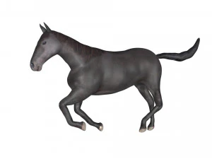 black horse rigged 3D Model