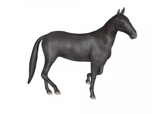 black horse rigged 3D Model
