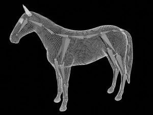 black horse rigged 3D Model
