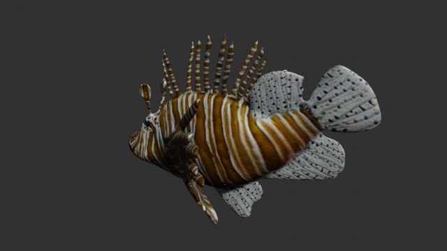 lionfish lion fish 3D 模型 .c4d .max .obj .3ds .fbx .stl .blend 