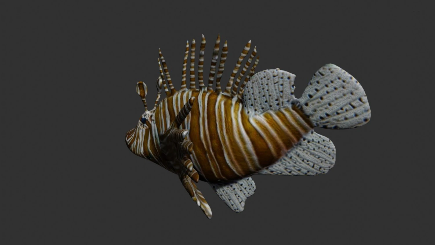lionfish lion fish 3D Model .c4d .max .obj .3ds .fbx .stl .blend 