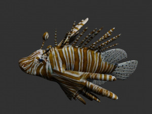lionfish lion fish 3D 模型