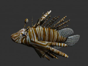 lionfish lion fish 3D Model