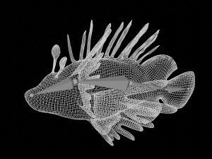 lionfish lion fish 3D 模型