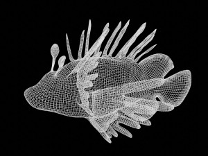 lionfish lion fish 3D 模型