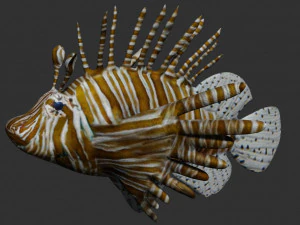 lionfish lion fish 3D Model
