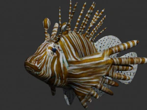 lionfish lion fish 3D Model