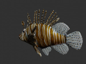lionfish lion fish 3D 模型