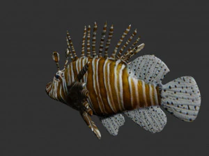 lionfish lion fish 3D Model